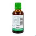 Bittergurke Tinktur Phytopharma 50ml, A-Nr.: 3451275 - 04