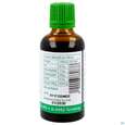 Artischocke Tinktur Phytopharma 50ml, A-Nr.: 3107425 - 02