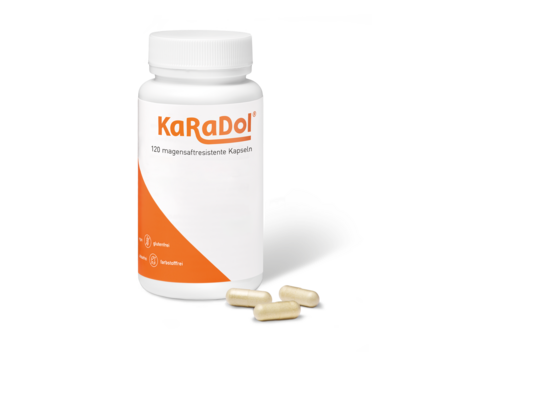 Sie sehen eine Packung KaRaDol magensaftresistente Kapseln 120 Stk., Produktbild: 01 KaRaDol magensaftresistente Kapseln 120 Stk., A-Nr.: 5999994 - 01