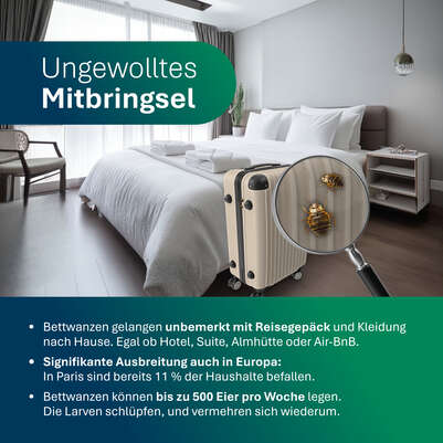 Bettwanzen PCR-Test für Zuhause, A-Nr.: 6010927 - 04