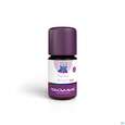 Sie sehen eine Packung Taoasis Duftkomposition/bio Keine Angst Kind Oel 5ml, Produktbild: 01 Taoasis Duftkomposition/bio Keine Angst Kind Oel 5ml, A-Nr.: 5998641 - 01