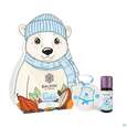 Taoasis Baldini Eisbaer Weihnachtduftset +winterzeit+anhaenge 1st, A-Nr.: 5981617 - 01