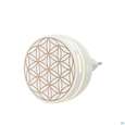 Sie sehen eine Packung Primavera Duftstecker Easy Fuer Die Steckdose 1st, Produktbild: 03 Primavera Duftstecker Easy Fuer Die Steckdose 1st, A-Nr.: 5907294 - 03