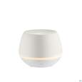 Sie sehen eine Packung Taoasis Taowell Ambiente 1st, Produktbild: 03 Taoasis Taowell Ambiente 1st, A-Nr.: 5682122 - 03
