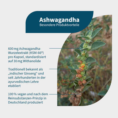 Sie sehen eine Packung NatuGena Ashwagandha Kapseln, Produktbild: 02 NatuGena Ashwagandha Kapseln, A-Nr.: 5699080 - 02