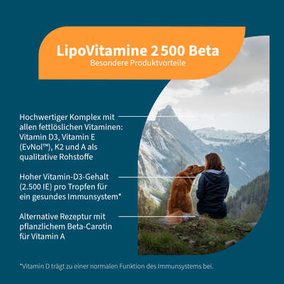 Sie sehen eine Packung NatuGena LipoVitamine 2500 Beta Tropfen, Produktbild: 02 NatuGena LipoVitamine 2500 Beta Tropfen, A-Nr.: 5990102 - 02