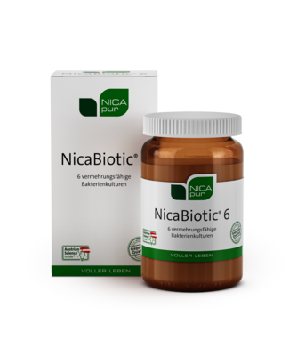 nicapur NicaBiotic® 6, A-Nr.: 3851307 - 01