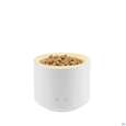 Taoasis Aroma/stream Wood Mini Weiss 1st, A-Nr.: 5904798 - 01