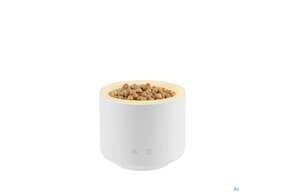 Taoasis Aroma/stream Wood Mini Weiss 1st, A-Nr.: 5904798 - 01