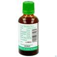 Koriander Tinktur Phytopharma 50ml, A-Nr.: 3742481 - 04