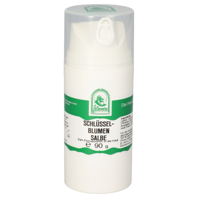 Sie sehen eine Packung SCHLÜSSELBLUMEN SALBE 90 G, Produktbild: 01 SCHLÜSSELBLUMEN SALBE 90 G, A-Nr.: 5691782 - 01