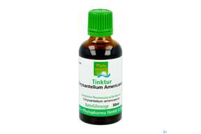 Chrysantell Ame Tinktur Phytopharma 50ml, A-Nr.: 3107543 - 01