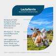 NatuGena Lactoferrin Kapseln, A-Nr.: 5665974 - 02