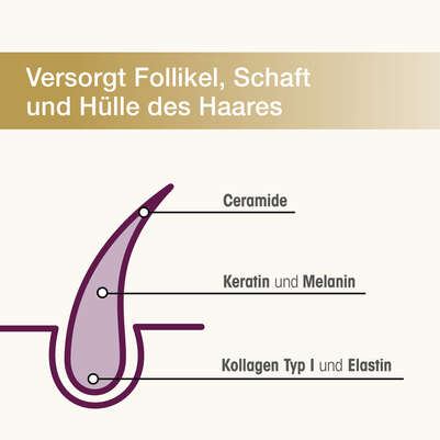 Dr. Böhm Haarstruktur Premium Wirkkomplex, A-Nr.: 6028146 - 04