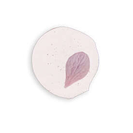 Dolomia Flower Infusion Lippenpflegeöl, A-Nr.: 8050658 - 02