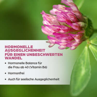 Dr. Böhm Isoflavon mit Griffonia, A-Nr.: 4356610 - 03