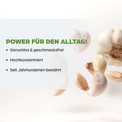 Dr. Böhm Knoblauch nur 1 Dragee täglich, A-Nr.: 2552442 - 03
