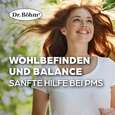 Sie sehen eine Packung Dr. Böhm Mönchspfeffer, Produktbild: 02 Dr. Böhm Mönchspfeffer, A-Nr.: 3524376 - 02