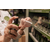 Apotheke-Kuchl-0518.png