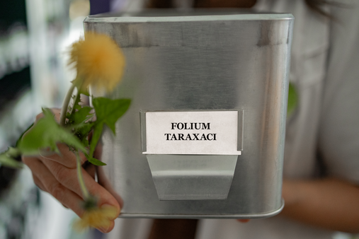 Apotheke-Kuchl-1244.png