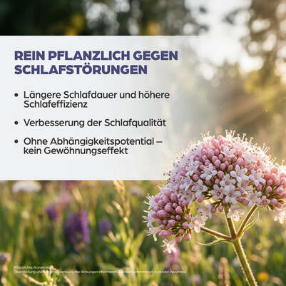 Sie sehen eine Packung Dr. Böhm® Baldrian, Produktbild: 08 Dr. Böhm® Baldrian, A-Nr.: 6057432 - 08