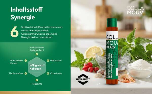 Sie sehen eine Packung CollaMouv Plus®, Produktbild: 05 CollaMouv Plus®, A-Nr.: 6118079 - 05
