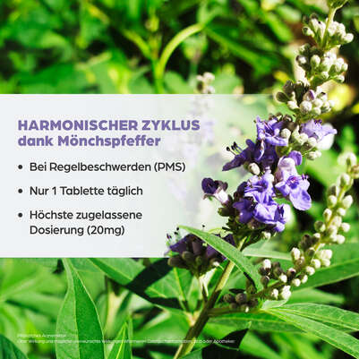 Dr. Böhm® Mönchspfeffer forte 20 mg, A-Nr.: 5530079 - 03
