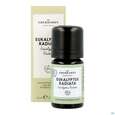 Aetherische Oele Dr.eberhardt Bio Eukalyptus Radiata B 5ml, A-Nr.: 5765121 - 12