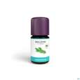 Sie sehen eine Packung Taoasis Baldini Bioaroma Rosmarin 5ml, Produktbild: 03 Taoasis Baldini Bioaroma Rosmarin 5ml, A-Nr.: 4621242 - 03