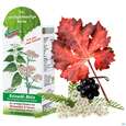 Beinwohl Aktiv Kraeuterfit Elixier Bio Kraeuter Fruechte Alkoholfrei 330ml, A-Nr.: 3961734 - 08