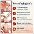 Sie sehen eine Packung Bienengift Salbe Echt Api Waermend 50ml, Produktbild: 10 Bienengift Salbe Echt Api Waermend 50ml, A-Nr.: 5849473 - 10