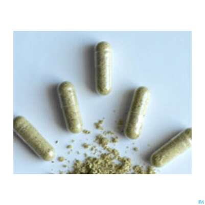 Moringa Powder Capsules 60 Stk., A-Nr.: 4583412 - 05
