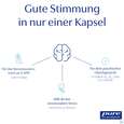 Sie sehen eine Packung Pure Encapsulations Kapseln Mood Formel Mof3a 30st, Produktbild: 09 Pure Encapsulations Kapseln Mood Formel Mof3a 30st, A-Nr.: 5828040 - 09