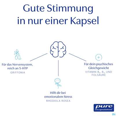 Sie sehen eine Packung Pure Encapsulations Kapseln Mood Formel Mof3a 30st, Produktbild: 09 Pure Encapsulations Kapseln Mood Formel Mof3a 30st, A-Nr.: 5828040 - 09