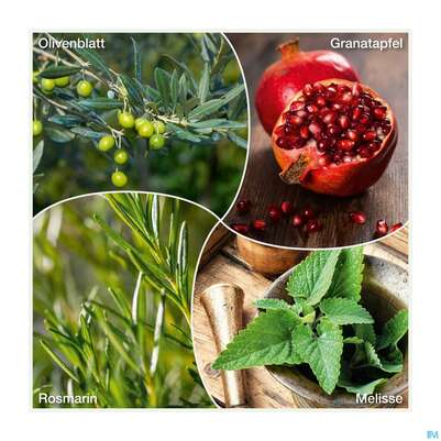 Weissdorn Herz+fit Granatapfel Revital Alkoholfrei Kraeuter Fruechte 330ml, A-Nr.: 3725790 - 08
