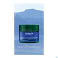 Weleda Blauer Enzian +edelweiss Festigende Nachtpflege 40ml, A-Nr.: 5729958 - 12
