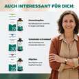 Sie sehen eine Packung Apozema® Nr. 02 Allergie-Tropfen, Produktbild: 07 Apozema® Nr. 02 Allergie-Tropfen, A-Nr.: 0988023 - 07