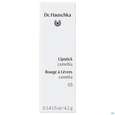 Dr. Hauschka Lipstick 03 Camellia 4,1g, A-Nr.: 4592813 - 02