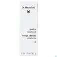 Dr. Hauschka Lipstick 14 Caralluma 4,1g, A-Nr.: 4592931 - 02