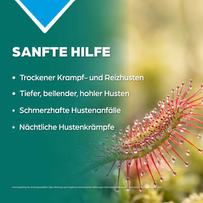 Apozema® Nr. 58: Dreiklang Globuli bei trockenem Krampf- und Reizhusten, A-Nr.: 3529557 - 03