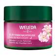 Weleda Wildrose/+weisser Tee Glaettende Nachtpflege 40ml, A-Nr.: 5838179 - 05