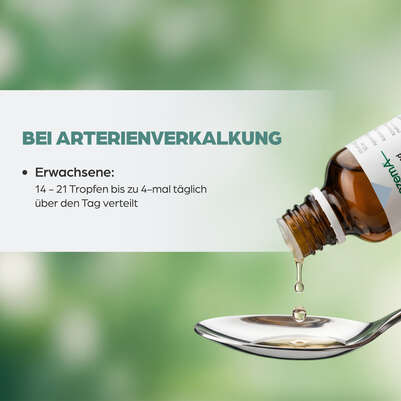 Sie sehen eine Packung Apozema® Nr. 05 Arteriosklerose-Tropfen, Produktbild: 05 Apozema® Nr. 05 Arteriosklerose-Tropfen, A-Nr.: 0987992 - 05