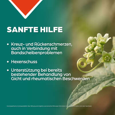 Apozema® Nr. 06 Bandscheiben- und Gelenk-Tropfen, A-Nr.: 0987963 - 03