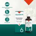 Apozema® Nr. 06 Bandscheiben- und Gelenk-Tropfen, A-Nr.: 0987963 - 04