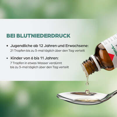 Apozema® Nr. 11 Blutniederdruck-Tropfen, A-Nr.: 0987816 - 05