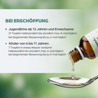 Apozema® Nr. 14 Erschöpfungs-Tropfen, A-Nr.: 0987762 - 05