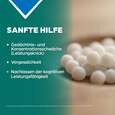 Sie sehen eine Packung Apozema® Nr. 17 Gedächtnis- und Konzentrations-Tropfen, Produktbild: 03 Apozema® Nr. 17 Gedächtnis- und Konzentrations-Tropfen, A-Nr.: 0987845 - 03