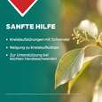 Sie sehen eine Packung Apozema® Nr. 18 Herz- und Kreislauf-Tropfen, Produktbild: 03 Apozema® Nr. 18 Herz- und Kreislauf-Tropfen, A-Nr.: 0987934 - 03