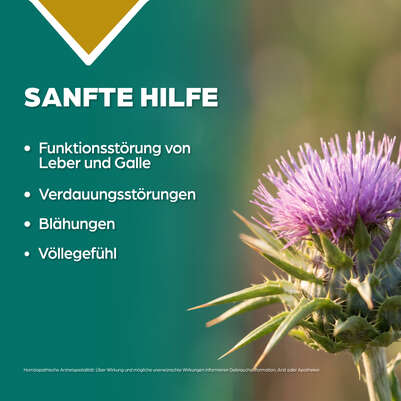 Sie sehen eine Packung Apozema® Nr. 21 Leber- und Galle-Tropfen, Produktbild: 03 Apozema® Nr. 21 Leber- und Galle-Tropfen, A-Nr.: 0987911 - 03
