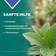 Apozema® Nr. 30 Schwindel- und Kreislauf-Tropfen, A-Nr.: 0987905 - 03